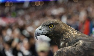 战术与激情的交汇：解密2023年欧冠决赛的背后故事