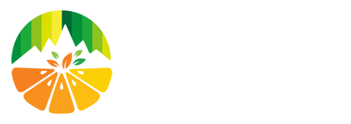 水果机